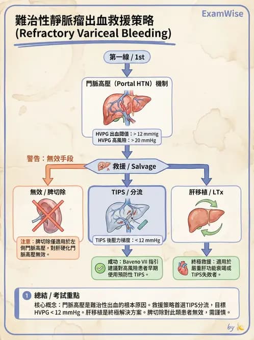 專師 - 肝硬化與併發症 - AI 圖文解析預覽