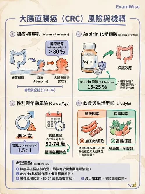 專師 - 肺癌與消化道癌 - AI 圖文解析預覽