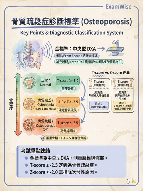 專師 - 骨折與骨質疏鬆 - AI 圖文解析預覽