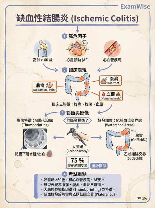 專師 - 腹部評估與急腹症 - AI 圖文解析預覽