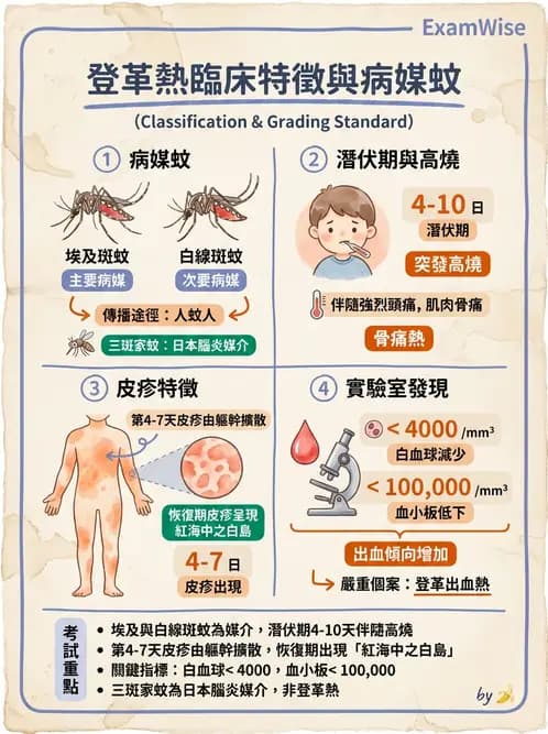 專師 - 法定傳染病與新興感染 - AI 圖文解析預覽