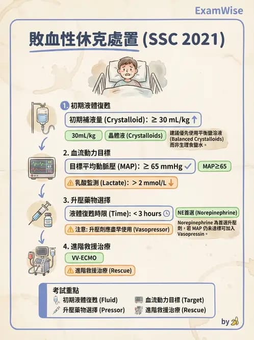 專師 - 敗血症治療與復甦指引 - AI 圖文解析預覽