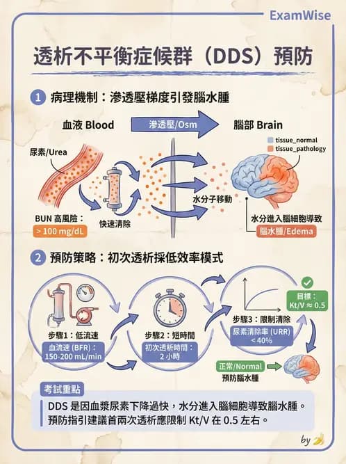 專師 - 透析治療 - AI 圖文解析預覽