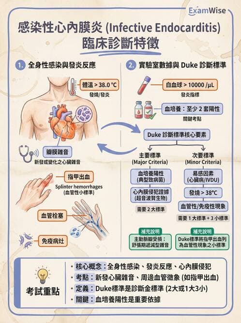 專師 - 感染性心內膜炎 - AI 圖文解析預覽