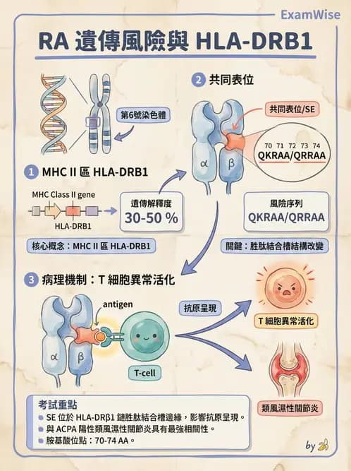 專師 - 風濕免疫疾病 - AI 圖文解析預覽