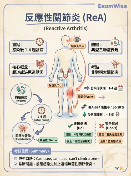 專師 - 風濕免疫疾病 - AI 圖文解析預覽
