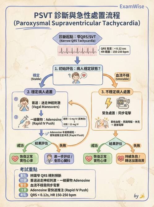 專師 - 心臟外科與介入 - AI 圖文解析預覽