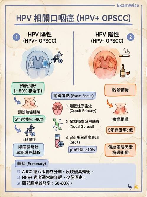專師 - 頭頸腫瘤與甲狀腺 - AI 圖文解析預覽