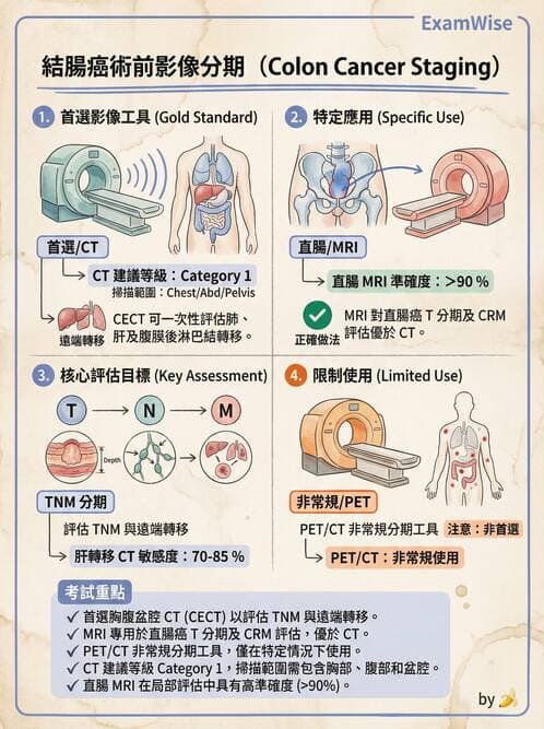 專師 - 大腸直腸癌與息肉 - AI 圖文解析預覽