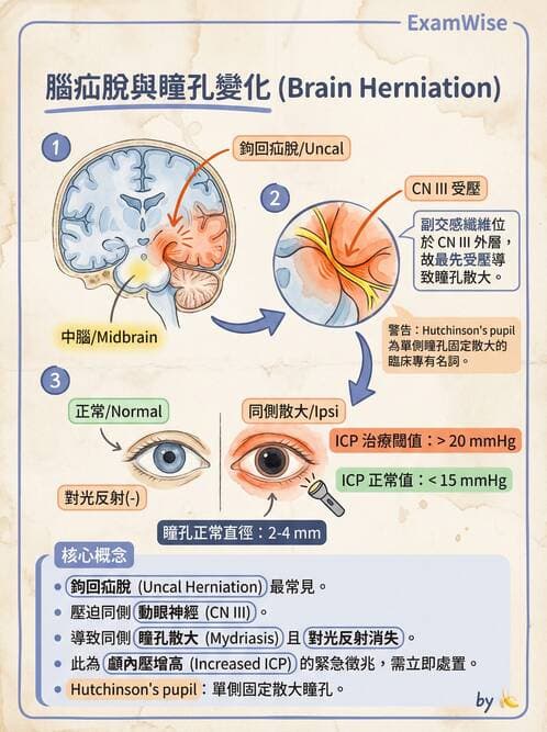 專師 - 頭部外傷與顱內壓 - AI 圖文解析預覽