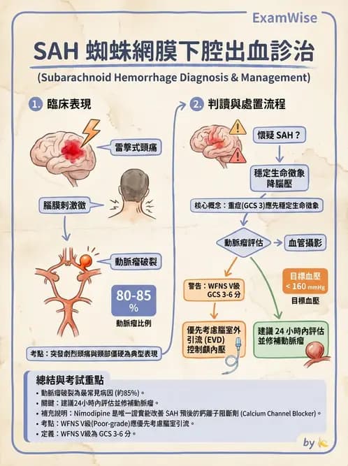 專師 - 蜘蛛膜下腔出血與腦腫瘤 - AI 圖文解析預覽