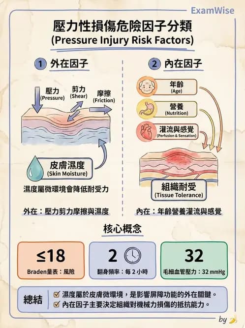 專師 - 壓瘡與慢性潰瘍 - AI 圖文解析預覽