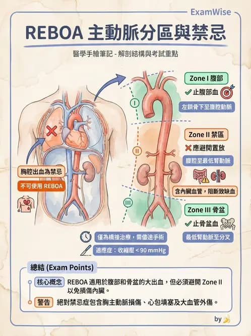 專師 - 燒傷創傷與出血控制 - AI 圖文解析預覽