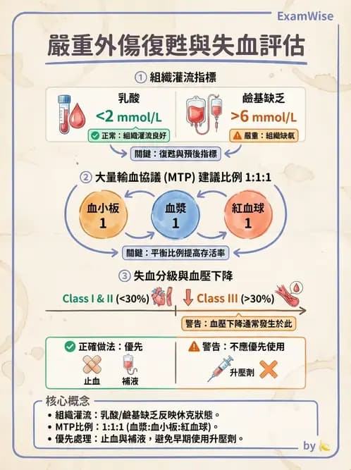 專師 - 燒傷創傷與出血控制 - AI 圖文解析預覽
