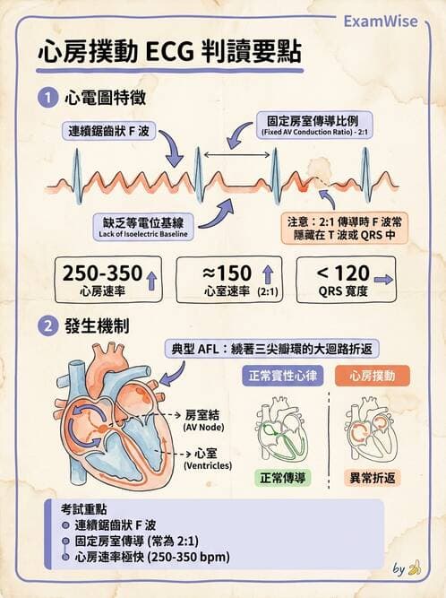 醫檢師 - 心律不整判讀 - AI 圖文解析預覽