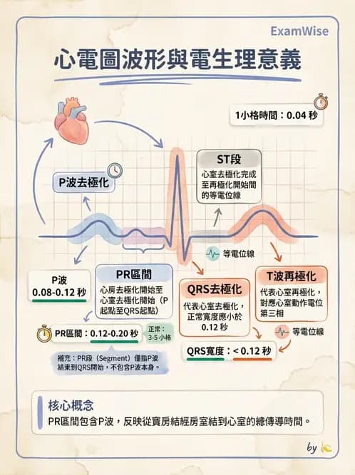 醫檢師 - 心電圖基礎與判讀 - AI 圖文解析預覽