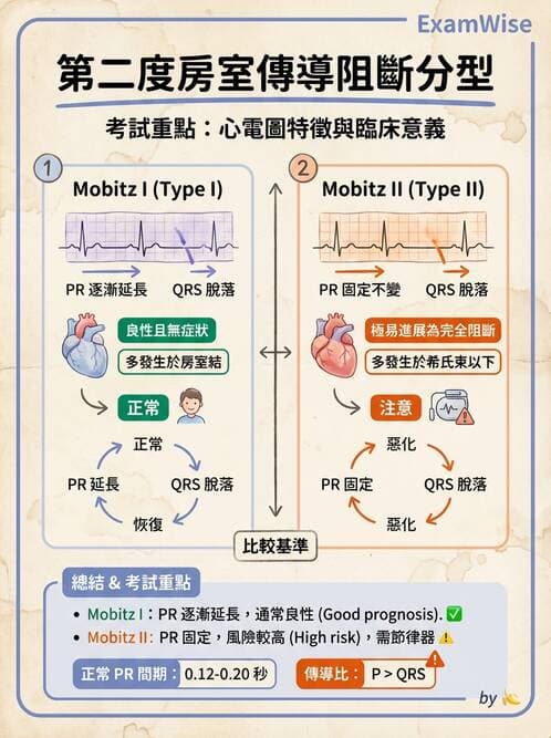 醫檢師 - 心律不整判讀 - AI 圖文解析預覽