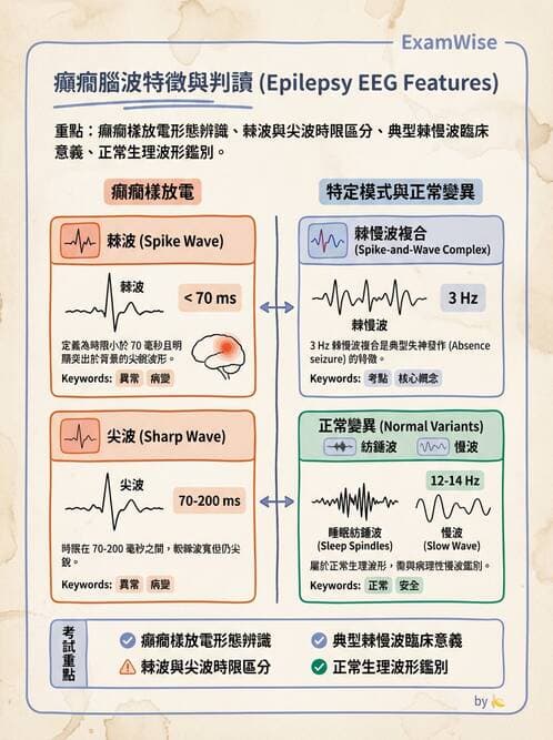 醫檢師 - 腦電圖檢查 - AI 圖文解析預覽