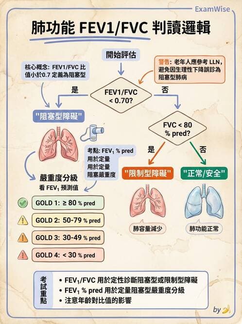 醫檢師 - 肺功能判讀與氣體交換 - AI 圖文解析預覽