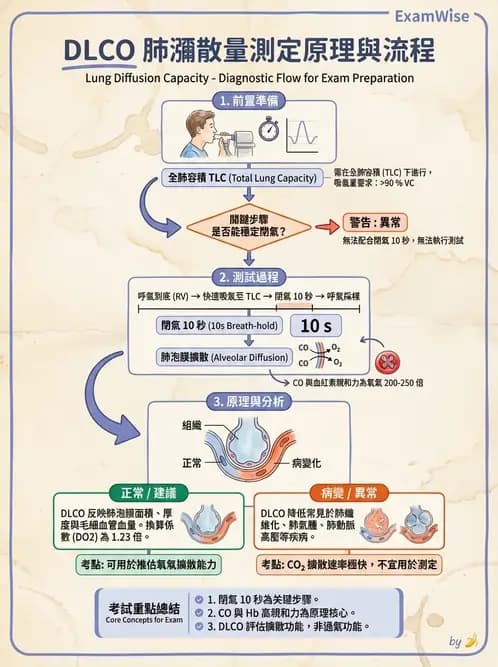 醫檢師 - 肺功能判讀與氣體交換 - AI 圖文解析預覽