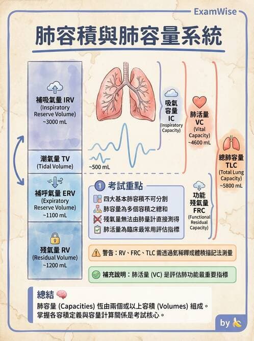 醫檢師 - 肺功能基礎與指標 - AI 圖文解析預覽