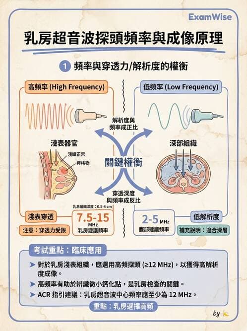 醫檢師 - 超音波檢查 - AI 圖文解析預覽