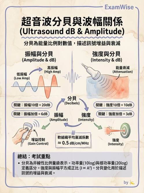 醫檢師 - 超音波檢查 - AI 圖文解析預覽