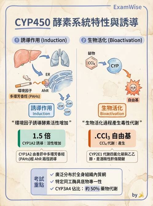 醫檢師 - 物理和化學傷害及營養疾病 - AI 圖文解析預覽