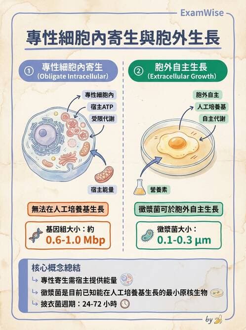 醫檢師 - 感染 - AI 圖文解析預覽