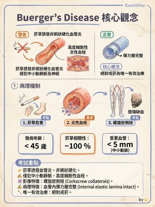 醫檢師 - 心血管疾病 - AI 圖文解析預覽