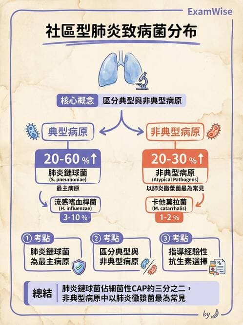 醫檢師 - 呼吸系統疾病 - AI 圖文解析預覽