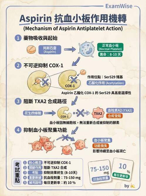 醫檢師 - 出血性疾病與檢驗 - AI 圖文解析預覽