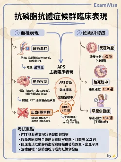 醫檢師 - 血栓性疾病與抗凝治療監測 - AI 圖文解析預覽
