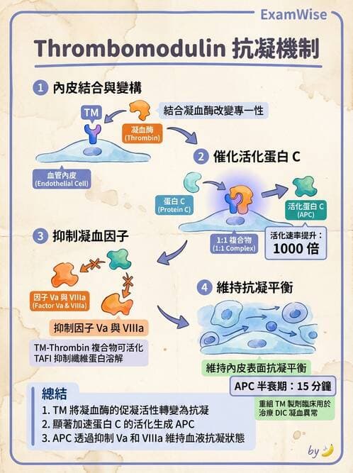 醫檢師 - 血栓性疾病與抗凝治療監測 - AI 圖文解析預覽