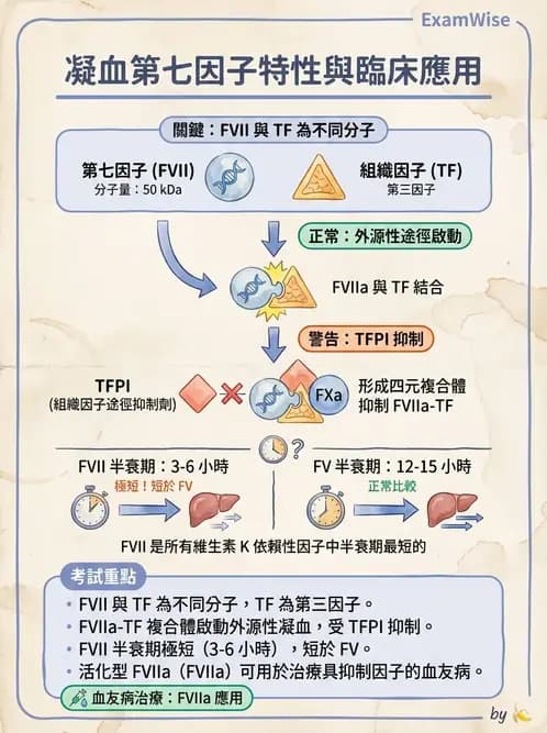 醫檢師 - 出血性疾病與檢驗 - AI 圖文解析預覽