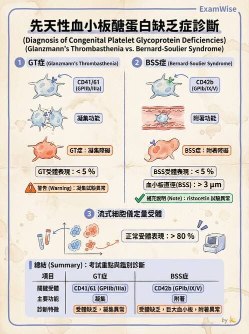 醫檢師 - 出血性疾病與檢驗 - AI 圖文解析預覽