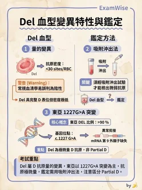 醫檢師 - 紅血球抗原與血型系統 - AI 圖文解析預覽