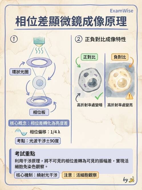 醫檢師 - 顯微鏡原理與操作 - AI 圖文解析預覽