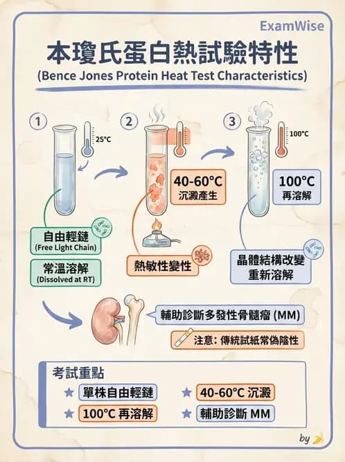 醫檢師 - 尿液化學檢驗 - AI 圖文解析預覽