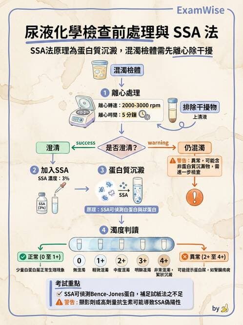 醫檢師 - 尿液化學檢驗 - AI 圖文解析預覽