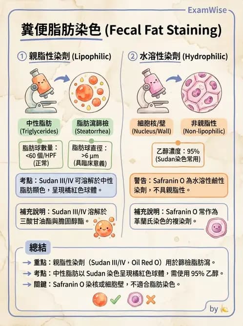 醫檢師 - 糞便常規檢查 - AI 圖文解析預覽