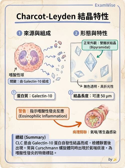 醫檢師 - 痰液一般鏡檢 - AI 圖文解析預覽