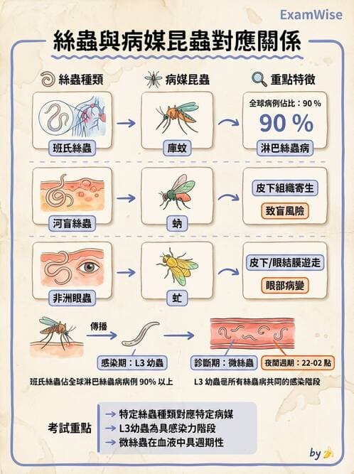醫檢師 - 寄生蟲檢查-蠕蟲類 - AI 圖文解析預覽