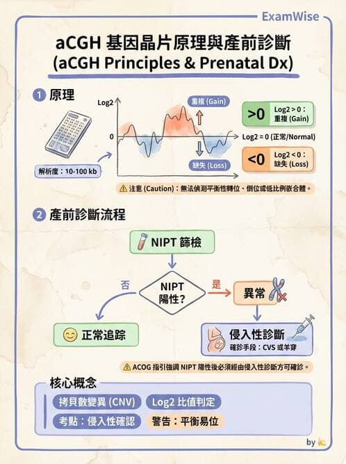 醫檢師 - 雜交探針與晶片技術 - AI 圖文解析預覽
