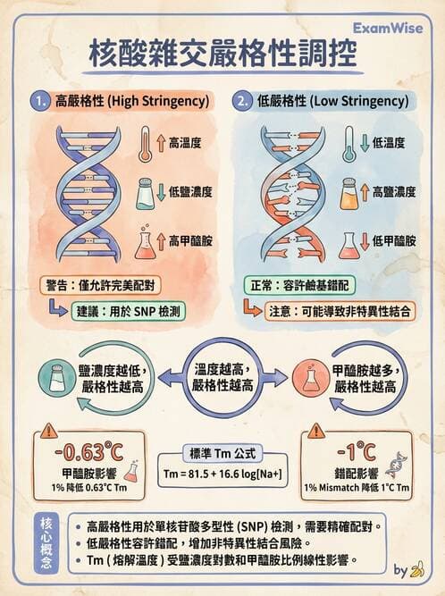 醫檢師 - 雜交探針與晶片技術 - AI 圖文解析預覽