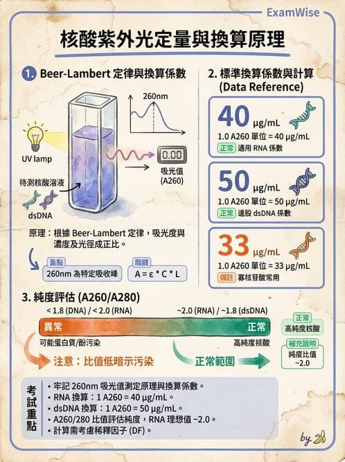 醫檢師 - 核酸擴增與萃取技術 - AI 圖文解析預覽