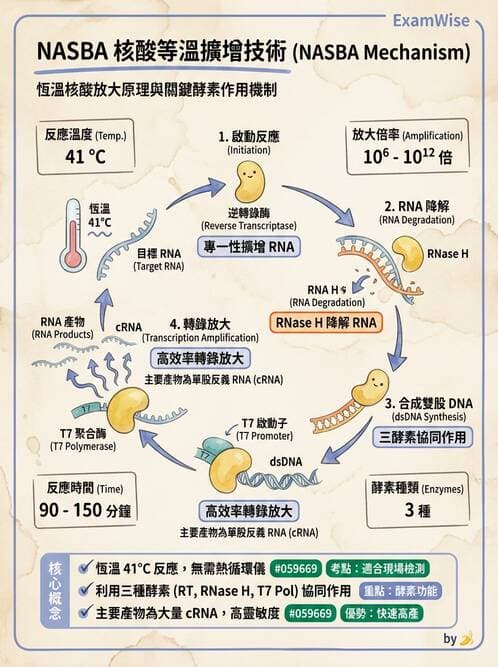 醫檢師 - 核酸擴增與萃取技術 - AI 圖文解析預覽