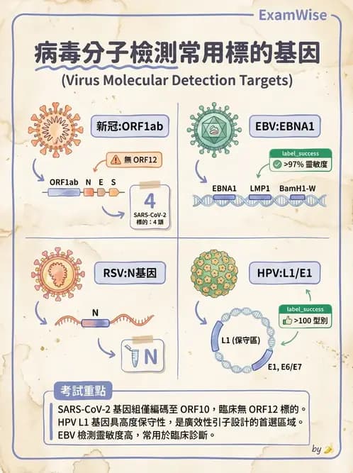 醫檢師 - 感染症分子檢驗 - AI 圖文解析預覽