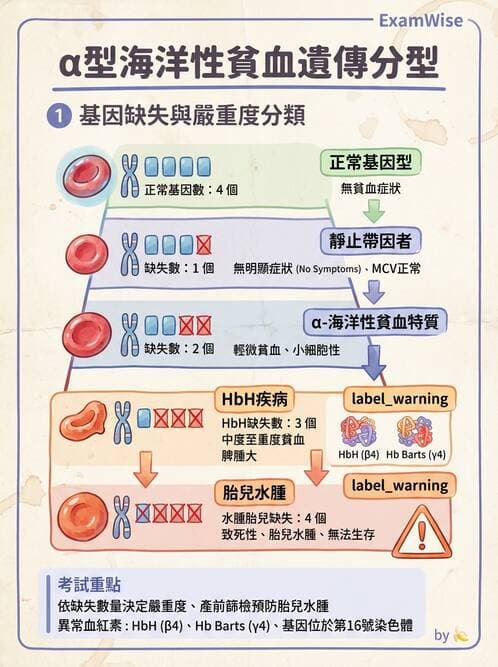 醫檢師 - 遺傳疾病基因檢測 - AI 圖文解析預覽