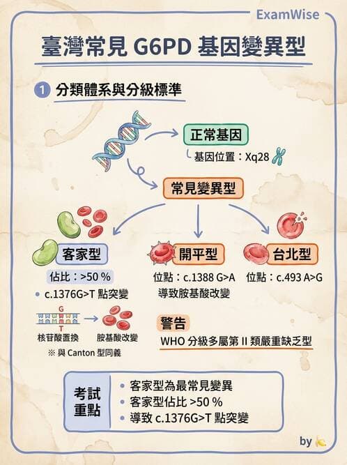 醫檢師 - 遺傳疾病基因檢測 - AI 圖文解析預覽